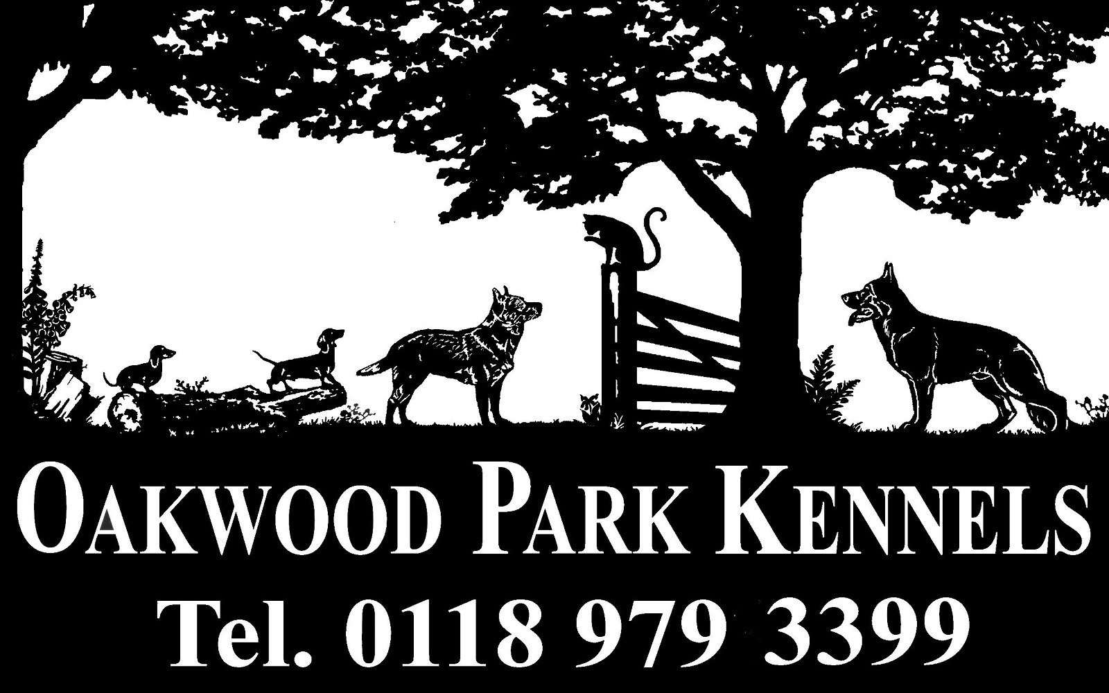 Oakwood Park Kennels, dog kennelling in Wokingham